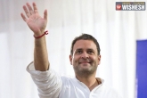 Rahul Gandhi latest, Rahul Gandhi next, official now rahul is the new president of aicc, Aicc