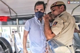 Rahul Gandhi news, Congress leaders, rahul gandhi detained after his protest, Nia