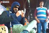 Mehreen, Raja The Great latest, raja the great first week collections, Grea