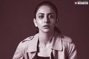 Rakul Preet Singh Along With Three Bollywood Actresses Summoned In Drugs Probe