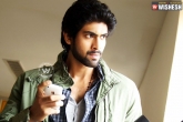 Rana, Simbhu, rana guest role in another big movie, Simbhu