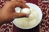 how to prepare rasgulla, rasgulla preparation method, recipe preparation of rasgulla, Rasgulla