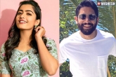Rashmika Mandanna, Annapurna Studios, rashmika to romance naga chaitanya, Annapurna studios