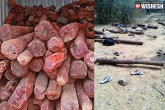 encounter, redsandalwood, red sandalwood smugglers shot dead by police, Sandalwood
