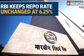 Reverse Repo, Rate Cut, rbi keeps repo rate unchanged at 6 25 in neutral stance of monetary policy, Monetary policy