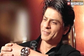 Shah Rukh Khan Birthday, Alibaug, srk celebrates his 51st birthday at alibaug, Shah rukh khan birthday
