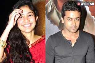 Sai Pallavi To Romance Suriya?