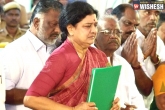 Chief Minister, Chief Minister, will sasikala natarajan take over as tamil nadu cm, Nataraja