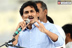 &lsquo;Sell YSRCP Symbol on OLX&rsquo;: Paiyavula Kesav