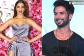 Shahid Kapoor, Deepika Padukone, shahid kapoor wishes deepika on her birthday in a unique style, Bhansali
