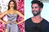 Birthday wish, Shahid Kapoor, shahid kapoor wishes deepika on her birthday in a unique style, Padmavati movie