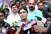 YS Sharmila, YS Sharmila, viveka murder probe sharmila s sensational comments, Ys sharmila