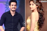 Akkineni Akhil debut film, Ajay Devgn Shivaay, she is akhil s heroine, Akhil debut