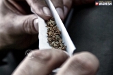 weed, weed, shocking facts of weed smoking, Smoking
