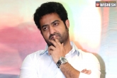 show cause notice Tarak, NTR updates, ntr to be issued show cause notices, Hi nanna
