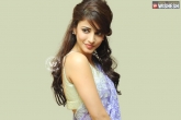 controversy, Vijay, shruthi out of controversy with pvp, Shruthi haasan