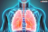 Lung Cancer news, Lung Cancer, signs to know about lung cancer, Health care