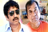 Mister, Brahmanandam, no brahmanandam in srinu vaitla s new movie, Dr brahmanandam