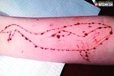 Blue Whale Game, Mumbai, 14 year old mumbaikar commits suicide after playing online suicide game, Playing
