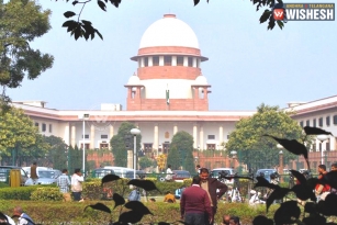 Supreme Court Declines PIL Seeking Ban on Cow Slaughter