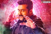 Singam 3 updates, Singam 3, suriya s singam 3 postponed, Singam 3