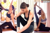 Track Pants new updates, Sweatsuits latest, sweatsuits are the new pantsuits, Actress