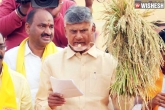 TDP, AP elections, tdp to change candidates in four constituencies, Assembly polls