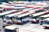 Hyderabad city buses, Hyderabad city buses updates, after 185 days hyderabad city buses to resume operations, Buses