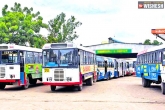 TSRTC new routes, TSRTC services, tsrtc resumes suburban and mofussil services in hyderabad, Rtc