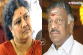 AIADMK general secretary V K Sasikala, AIADMK general secretary V K Sasikala, tamil nadu politics gets murkier, Tamil nadu governor ch vidyasagar rao