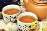 Echinacea Tea, tea health benefits, all about teas and their immunity, Green tea
