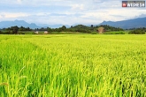 Telangana government news, Telangana farmers latest, telangana collectors asked to review crop loans, Collectors