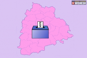 Telangana Heading For Panchayat Polls