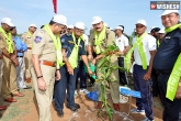 Police officials, DGP, telangana police plant saplings, Octopus training command centre