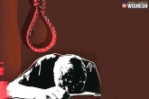 National Crime Records Bureau, Telangana latest, telangana breaches into top five in suicides, Crime