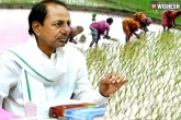 KCR plans digital survey on farm lands, digital survey on farm lands KCR, telangana government to launch a digital survey on farm lands, It department
