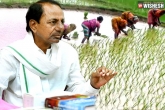 digital survey on farm lands KCR, digital survey on farm lands breaking news, telangana government to launch a digital survey on farm lands, R b department