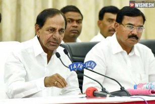 KCR announces purchasing paddy in Telangana