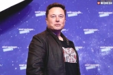 Elon Musk news, Tesla updates, tesla chief elon musk named as the world s richest person, Tesla