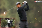 Tiger Woods car accident, Tiger Woods car, after a major car crash tiger woods undergoes surgery, Health bulletin
