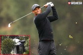 Tiger Woods car accident, Tiger Woods health condition, after a major car crash tiger woods undergoes surgery, Car crash