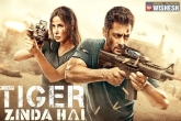 Tiger Zinda Hai updates, Salman Khan, tiger zinda hai trailer all set for action treat, Yash raj films