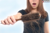 Hair Loss techniques, Hair Loss techniques, special tips to combat hair loss, Hair loss