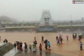 Tirupati, Tirupati latest updates, havoc in tirupati due to heavy rains, Heavy