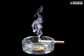 Jammu and Kashmir, smoking, j k lung cancer capital of india, No smoking
