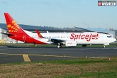 SpiceJet Airlines, SpiceJet, travel in spicejet rs 599, Spicejet airlines