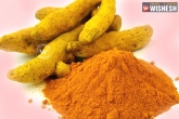 ways to treat cancers with natural ingredients, turmeric can cure oral and cervical cancers, turmeric fights against oral and cervical cancers, Treating