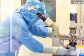 UK strain coronavirus news, UK strain coronavirus updates, uk s new strain of coronavirus detected in 41 countries, 2 countries