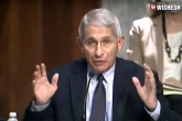 USA, Coronavirus latest, us going in the wrong direction in coronavirus control says experts, Anthony fauci