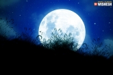 Weird facts, Astronomers, urination on moon, Astronomers